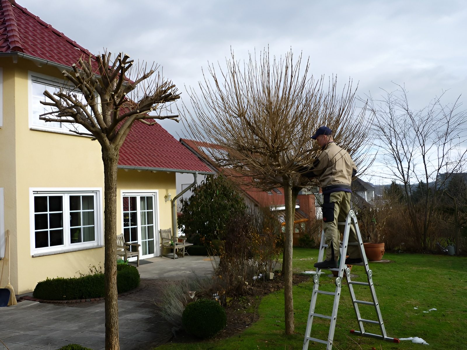 Baum-, Obstbaum-& Gehölzschnitt